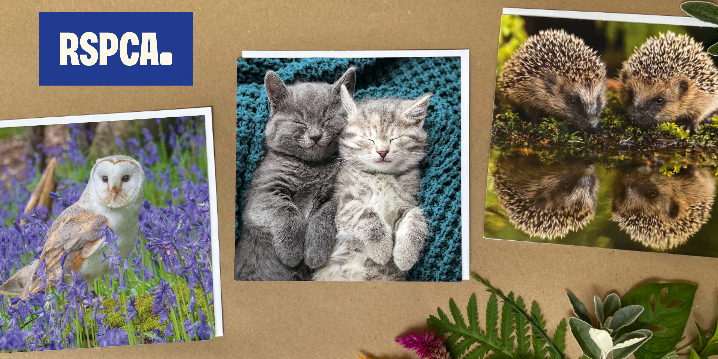 RSPCA